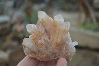 Natural Pink Candle Quartz Specimens   x 5 From Madagascar