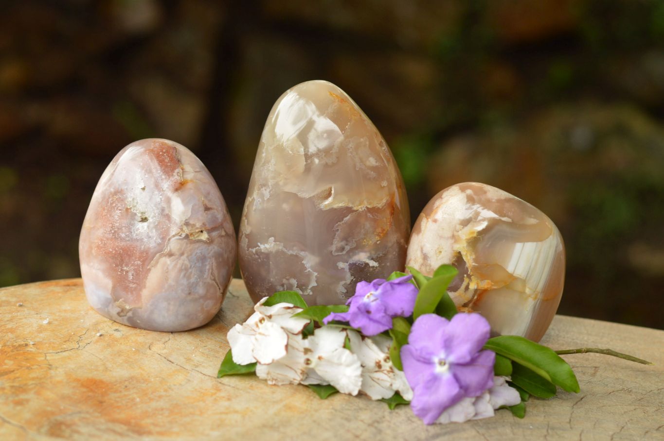 Polished Ocean Flower Agate Standing Free Forms x 3 From Madagascar