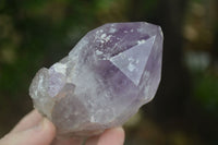 Natural Single Jacaranda Amethyst Crystals  x 12 From Zambia - Toprock Gemstones and Minerals 