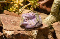 Natural Selected Purple Stichtite Specimens  x 21 From Barberton, South Africa - TopRock