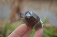 Natural Clear Smokey Quartz Crystals  x 12 From Malawi