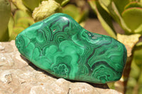 Polished Malachite Free Forms With Stunning Flower & Banding Patterns x 2 From Kolwezi, Congo - TopRock