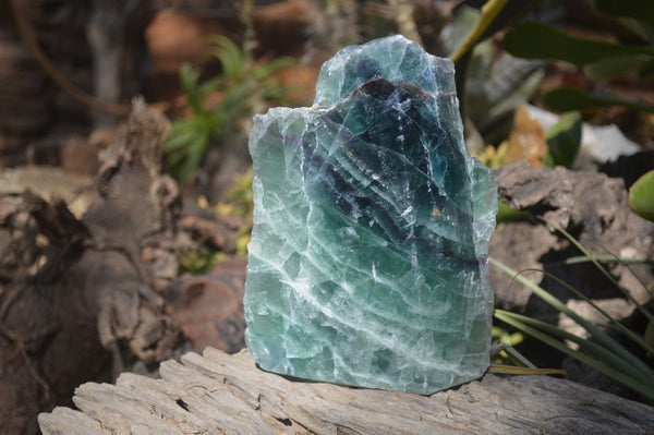 Polished Watermelon Fluorite Standing Free Form  x 1 From Uis, Namibia