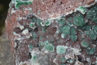 Natural Extra Large Drusy Coated Malachite On Red Dolomite Specimen x 1 From Likasi, Congo - Toprock Gemstones and Minerals 