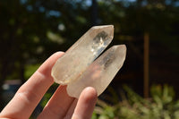 Natural Clear Quartz Crystals  x 48 From Madagascar - TopRock