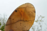 Polished Dendritic Agate Standing Free Forms  x 3 From Moralambo, Madagascar - TopRock