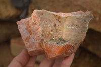 Natural New Sunset Orange Calcite Specimens  x 3 From Spitzkop, Namibia