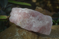 Natural Rough Pink Rose Quartz Specimens  x 4 From Namibia - Toprock Gemstones and Minerals 