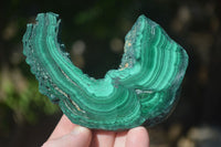 Polished Flower Banded Malachite Slices  x 6 From Congo - Toprock Gemstones and Minerals 