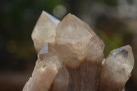 Natural Mixed Quartz Specimens x 6 From Southern Africa