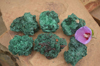 Natural Chatoyant Silky Malachite Specimens  x 6 From Kasompe, Congo - TopRock