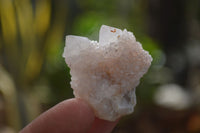 Natural Single White Spirit Quartz Crystals x 70 From Boekenhouthoek, South Africa