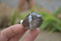 Natural Clear Smokey Quartz Crystals  x 12 From Malawi