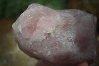 Natural Rough Pink Rose Quartz Specimens  x 4 From Namibia - Toprock Gemstones and Minerals 