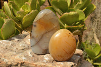 Polished Dendritic Agate Standing Free Forms  x 3 From Moralambo, Madagascar - TopRock