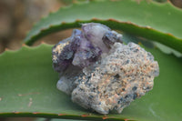 Natural Large Smokey Amethyst Crystal Specimens  x 6 From Chiredzi, Zimbabwe - Toprock Gemstones and Minerals 