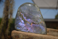 Polished Rare Purple Flash Labradorite Standing Free Forms x 2 From Tulear, Madagascar