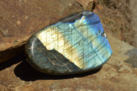 Polished Labradorite Standing Free Forms With Intense Blue & Gold Flash x 2 From Sakoany, Madagascar - TopRock