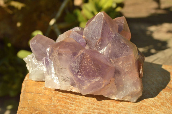 Natural Jacaranda Amethyst Quartz Clusters x 2 From Zambia - TopRock