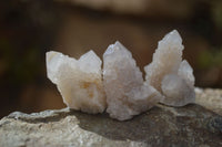 Natural Single White Spirit Quartz Crystals x 70 From Boekenhouthoek, South Africa