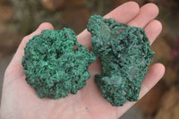 Natural Chatoyant Silky Malachite Specimens  x 6 From Kasompe, Congo - TopRock