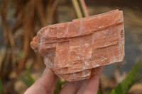 Natural New Sunset Orange Calcite Specimens  x 3 From Spitzkop, Namibia