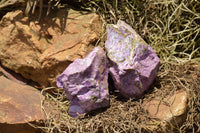 Natural Selected Purple Stichtite Specimens  x 21 From Barberton, South Africa - TopRock