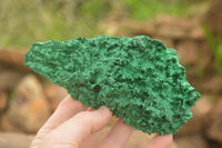 Natural Chatoyant Silky Malachite Specimens  x 6 From Kasompe, Congo - TopRock