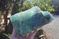 Polished Watermelon Fluorite Standing Free Form  x 1 From Uis, Namibia