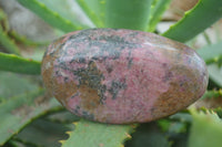 Natural Rough & Polished Rhodonite Specimens  x 5 From Zimbabwe - TopRock