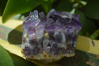 Natural Dark Purple Amethyst Clusters  x 3 From Mapatizya, Zambia - TopRock