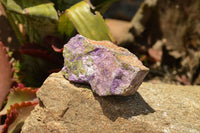 Natural Selected Purple Stichtite Specimens  x 21 From Barberton, South Africa - TopRock