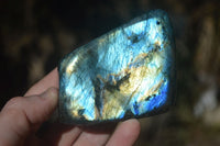 Polished Gorgeous Flashy Labradorite Standing Free Forms  x 2 From Tulear, Madagascar