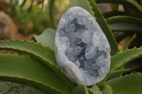 Polished Blue Celestite Crystal Centred Egg x 1 From Sakoany, Madagascar - Toprock Gemstones and Minerals 