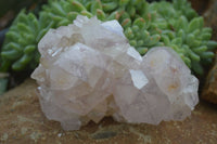 Natural Extra Large Spirit Quartz Crystals  x 4 From Boekenhouthoek, South Africa - Toprock Gemstones and Minerals 