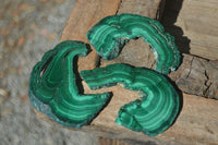 Polished Flower Banded Malachite Slices  x 6 From Congo - Toprock Gemstones and Minerals 