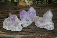 Natural Jacaranda Amethyst Clusters  x 3 From Zambia - Toprock Gemstones and Minerals 