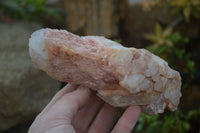 Natural Pink Candle Quartz Specimens   x 5 From Madagascar