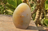 Polished Dendritic Agate Standing Free Forms  x 3 From Moralambo, Madagascar - TopRock