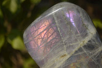 Polished Rare Purple Flash Labradorite Standing Free Forms x 2 From Tulear, Madagascar