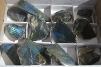 Polished One Side Polished Labradorite Slices  x 12 From Tulear, Madagascar - Toprock Gemstones and Minerals 