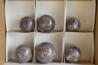 Polished Small Purple Lepidolite Spheres (Rubellite Inclusions on some) x 6 From Madagascar - TopRock