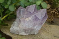 Natural Jacaranda Amethyst Clusters  x 3 From Zambia - Toprock Gemstones and Minerals 