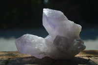 Natural Jacaranda Amethyst Clusters  x 3 From Mumbwa, Zambia - Toprock Gemstones and Minerals 