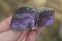 Polished One Side Polished Purpurite Free Forms x 12 From Erongo, Namibia