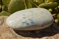 Polished Blue Spotted Spinel / Dalmatian Stone Standing Free Forms  x 3 From Madagascar - TopRock