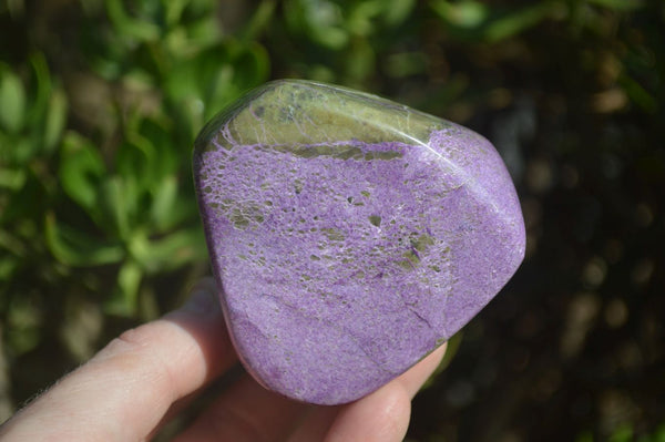 Polished Stichtite & Serpentine Free Forms x 4 From Barberton, South Africa