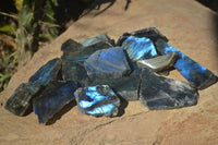 Polished One Side Polished Labradorite Slices  x 12 From Tulear, Madagascar - Toprock Gemstones and Minerals 