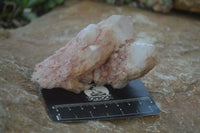 Natural Pink Candle Quartz Specimens   x 5 From Madagascar