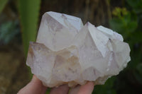 Natural Extra Large Spirit Quartz Crystals  x 4 From Boekenhouthoek, South Africa - Toprock Gemstones and Minerals 